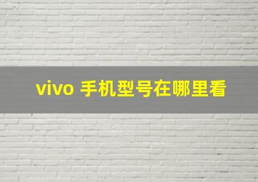 vivo 手机型号在哪里看